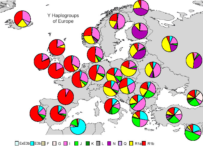 Les haplogroupes qui identifient les sous-groupes raciaux qui sont caractéristiques des populations du continent européen