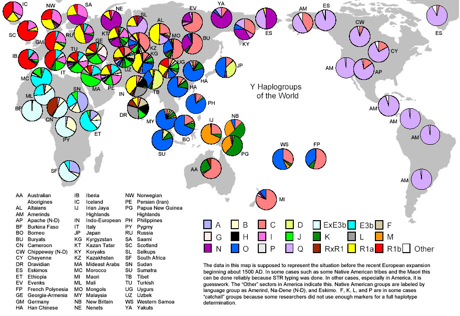 Les haplogroupes dans le monde, en 1500 AD.